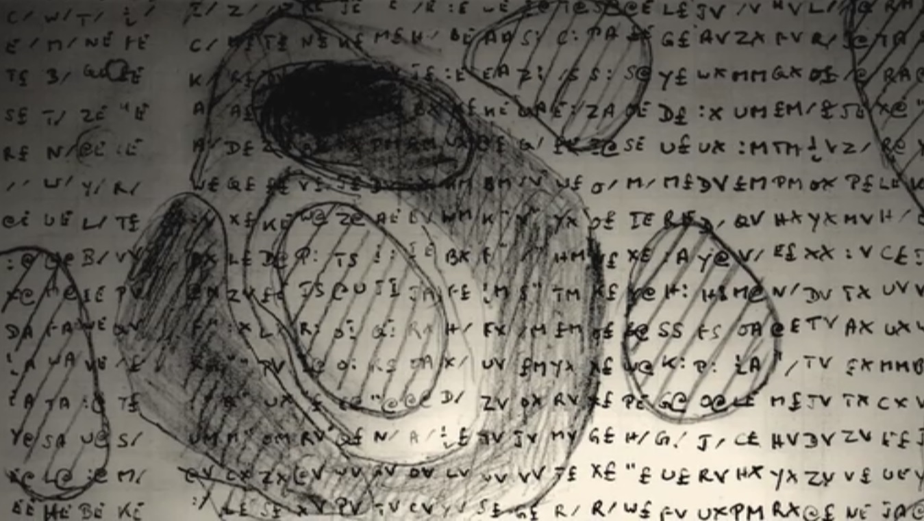 turing-sketch-morphogenesis